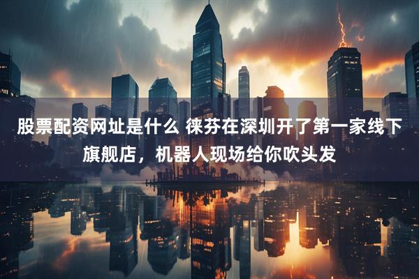 股票配资网址是什么 徕芬在深圳开了第一家线下旗舰店，机器人现场给你吹头发